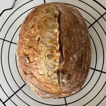 Carrot, Hazelnut, and Honey Bread photo 4